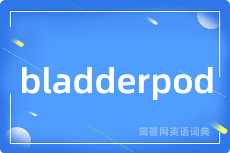 bladderpod
