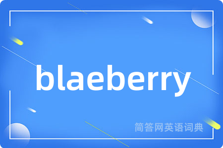 blaeberry