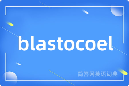 blastocoel