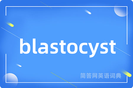 blastocyst是什么意思,blastocyst的中文翻译 blastocyst