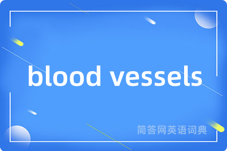 blood vessels