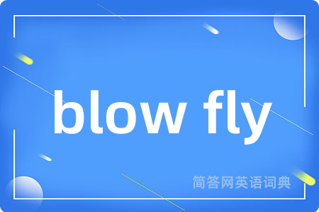 blow fly