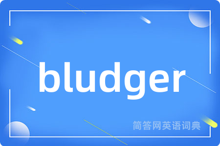bludger
