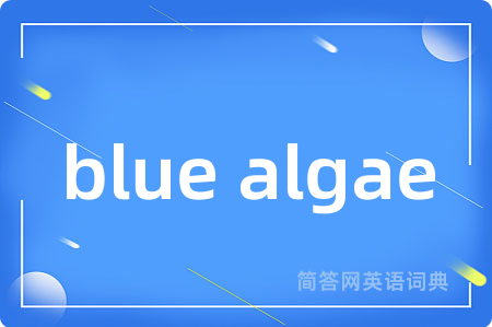 blue algae