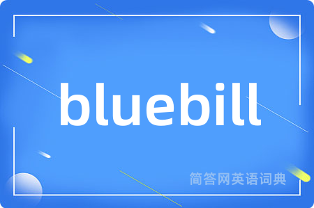 bluebill是什么意思,bluebill的中文翻译 bluebill