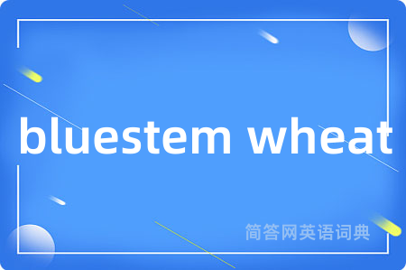 bluestem wheat