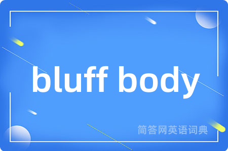 bluff body
