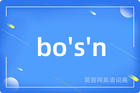 bo's'n是什么意思,bo's'n的中文翻译 bo's'n