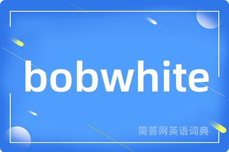 bobwhite