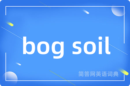 bog soil