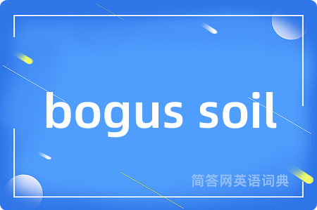 bogus soil是什么意思,bogus soil的中文翻译 bogus soil