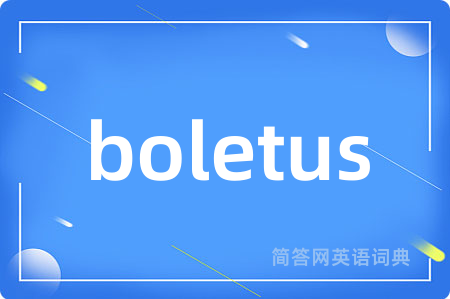 boletus