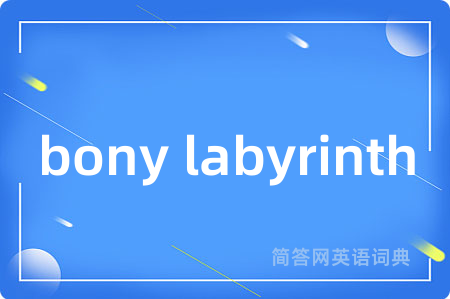 bony labyrinth