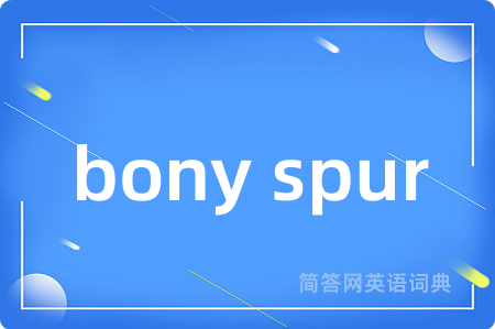 bony spur是什么意思,bony spur的中文翻译 bony spur