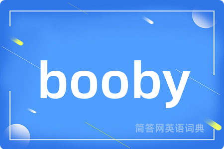 booby是什么意思,booby的中文翻译 booby