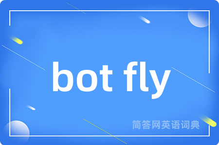bot fly