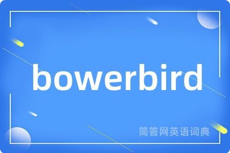 bowerbird是什么意思,bowerbird的中文翻译 bowerbird