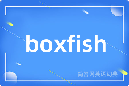 boxfish是什么意思,boxfish的中文翻译 boxfish