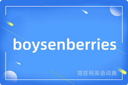 boysenberries是什么意思,boysenberries的中文翻译 boysenberries