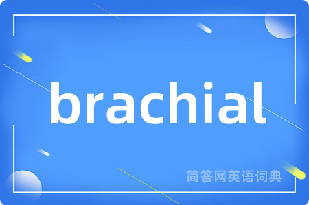 brachial