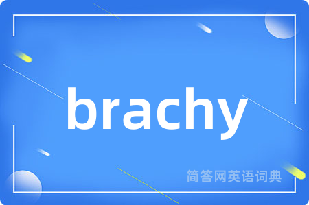 brachy是什么意思,brachy的中文翻译 brachy