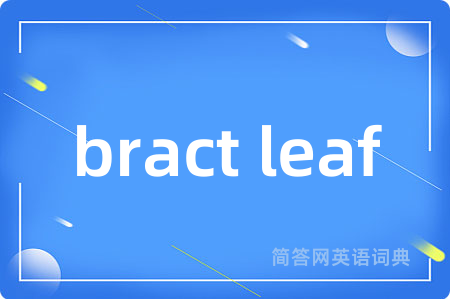 bract leaf是什么意思,bract leaf的中文翻译 bract leaf