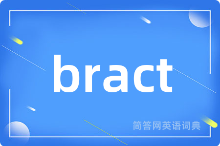 bract是什么意思,bract的中文翻译 bract