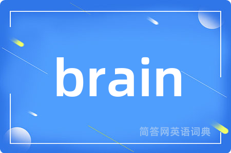 brain是什么意思,brain的中文翻译 brain