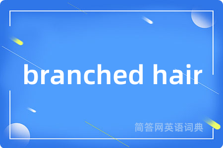 branched hair