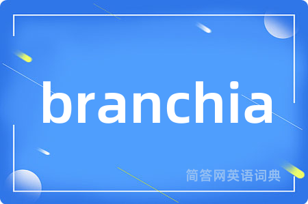branchia