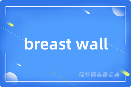 breast wall是什么意思,breast wall的中文翻译 breast wall