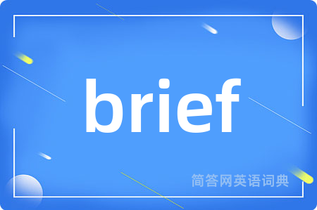 brief是什么意思,brief的中文翻译 brief