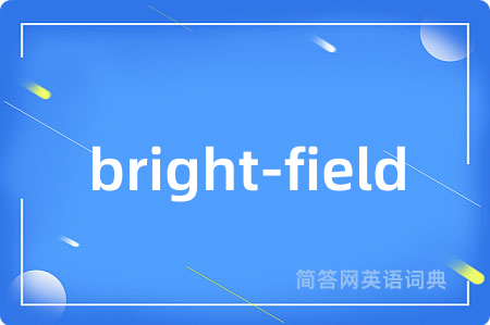 bright-field是什么意思,bright-field的中文翻译 bright-field