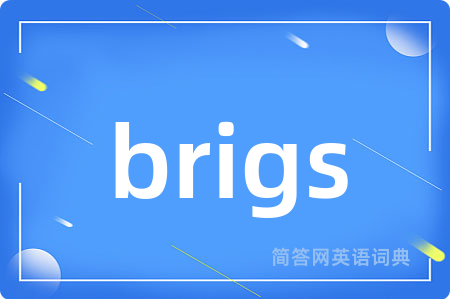 brigs是什么意思,brigs的中文翻译 brigs