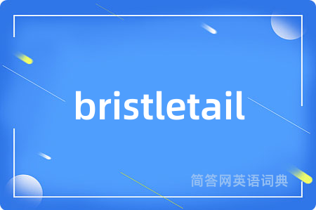 bristletail