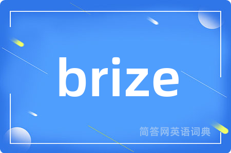 brize是什么意思,brize的中文翻译 brize