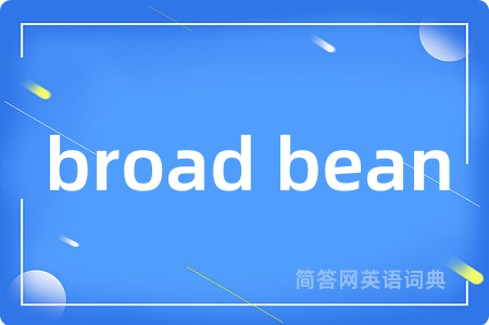 broad bean