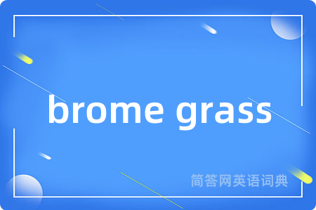 brome grass是什么意思,brome grass的中文翻译 brome grass