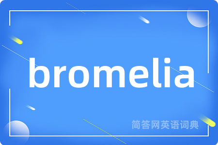 bromelia是什么意思,bromelia的中文翻译 bromelia