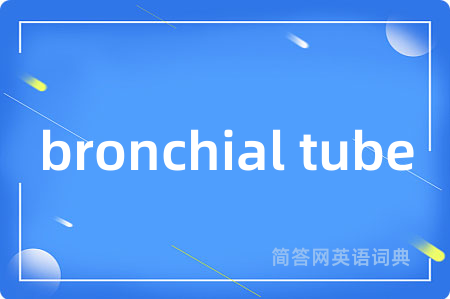 bronchial tube是什么意思,bronchial tube的中文翻译 bronchial tube