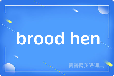 brood hen
