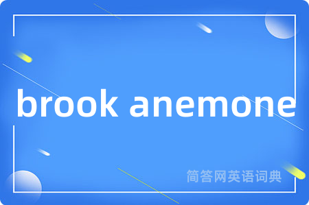 brook anemone