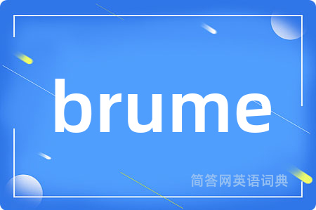 brume是什么意思,brume的中文翻译 brume