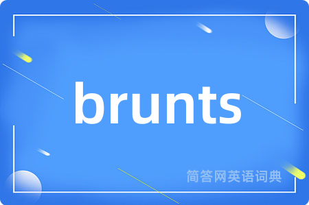brunts是什么意思,brunts的中文翻译 brunts