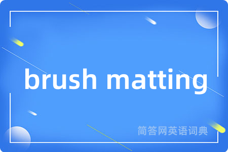 brush matting是什么意思,brush matting的中文翻译 brush matting
