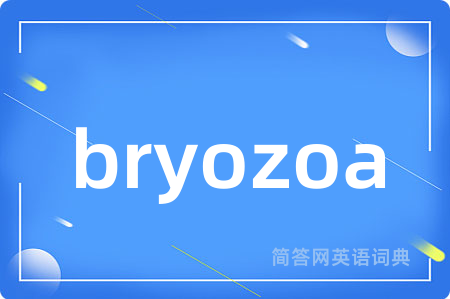 bryozoa