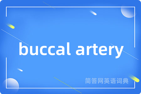 buccal artery是什么意思,buccal artery的中文翻译 buccal artery