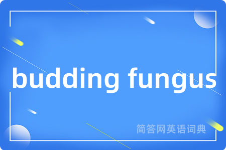 budding fungus