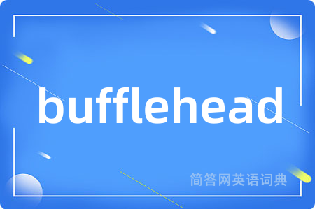 bufflehead是什么意思,bufflehead的中文翻译 bufflehead