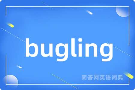 bugling是什么意思,bugling的中文翻译 bugling